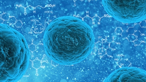 Coronavirus COVID-19 in pregnancy