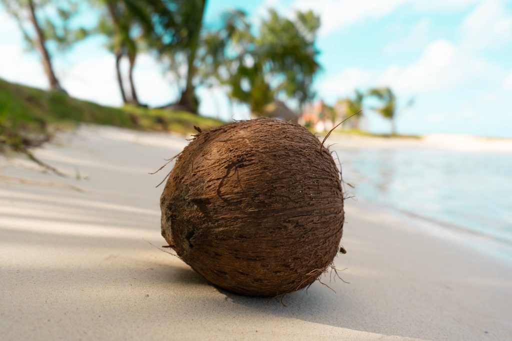 Your baby is the size of a coconut