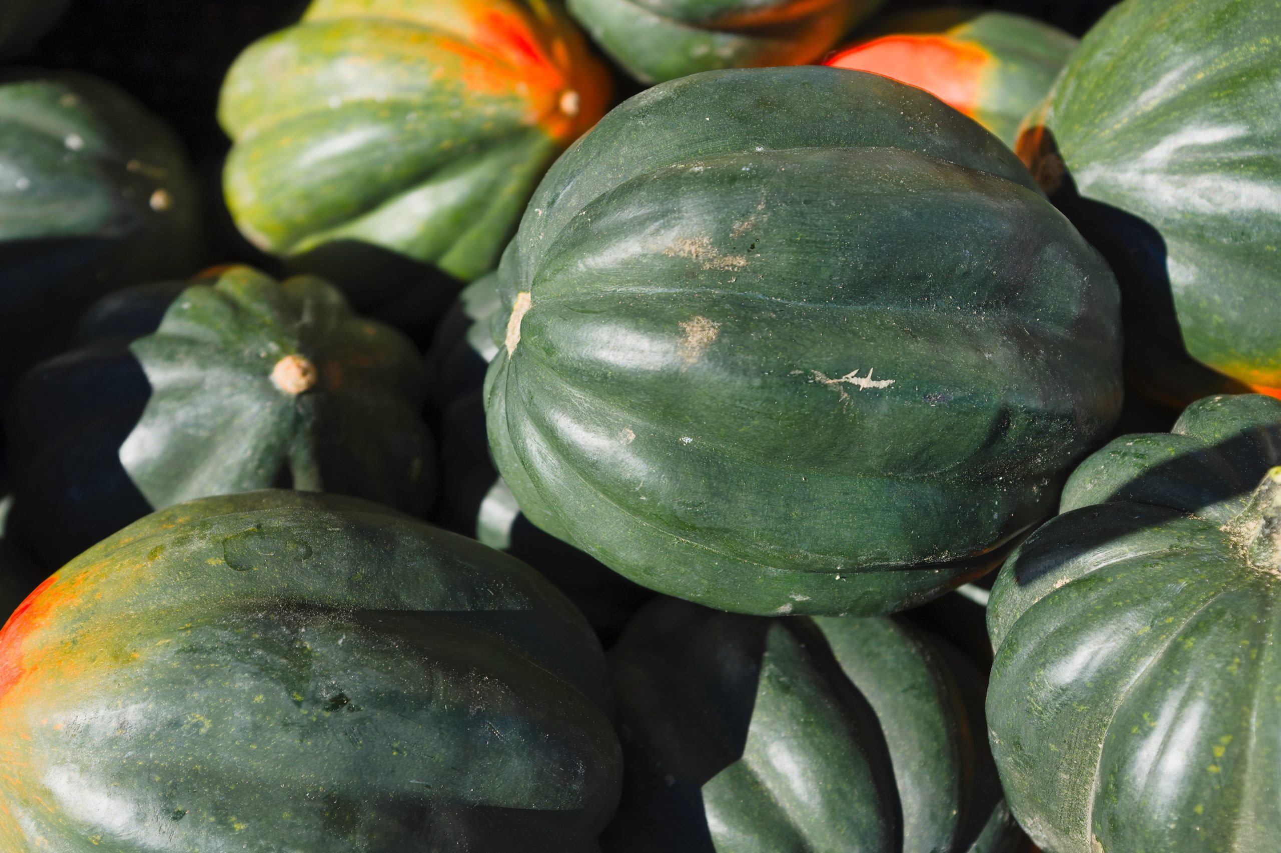 Your baby is the size of an acorn squash